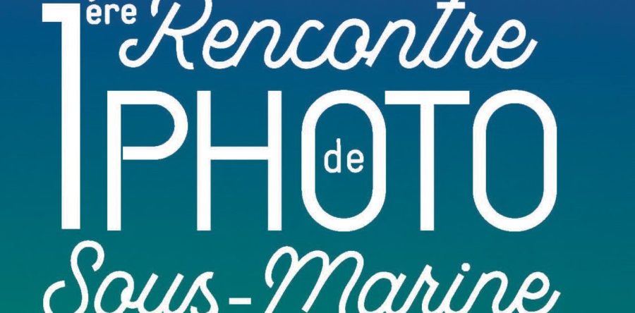 Commission Photo- Vidéo subaquatique