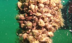 Les 10 règles d’or