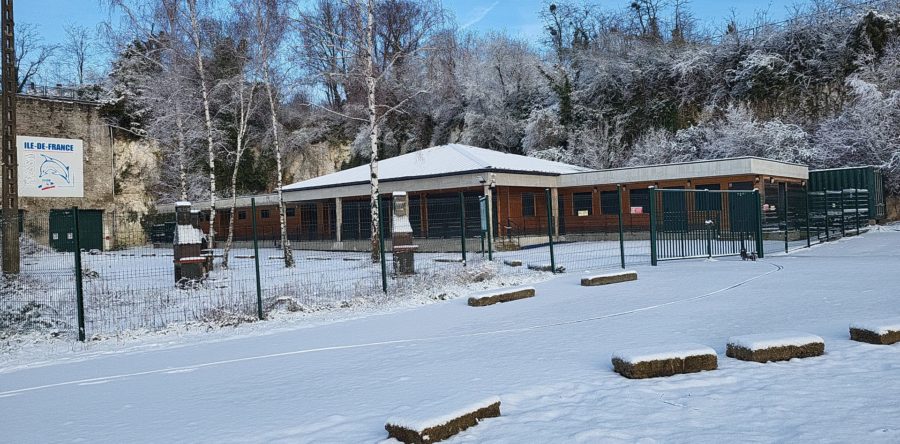 Quelques photos: un hiver éphémère…